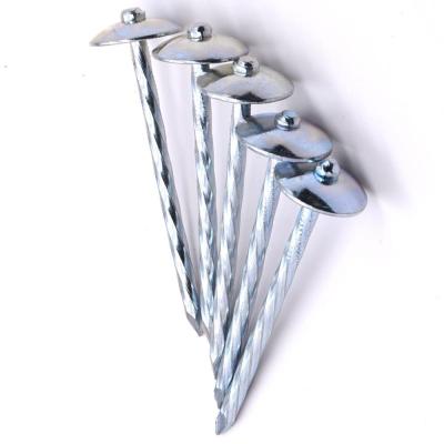 China Cap China Factory Umbrella Head Nails Roofing Nails Corrugated Nails Galvanized Twisted Leg for sale