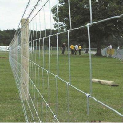 China Cheap Plain Weave Field Fence For Goat And Sheep Cattle Panel Fence 16 Feet for sale