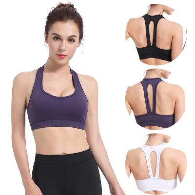 China 2022 Beautiful Yoga Rimless Sports Underwear Gather Sports Back Bra Running Women Fitness Shockproof Quick Dry QUICK DRY for sale