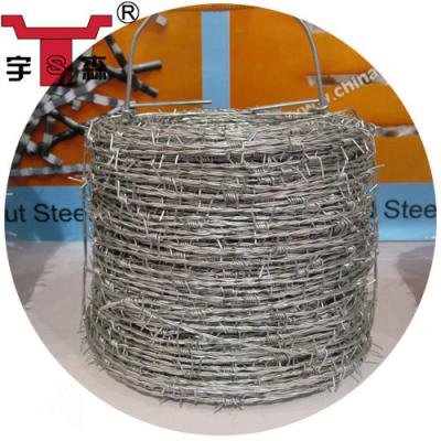 China Barbed Wire Price Per Ton Fence, Barbed Wire Fence Manufacture for sale