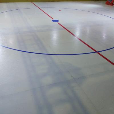 China UHMWPE indoor or outdoor mobile ice rink/best synthetic ice/synthetic ice tileArena for sale