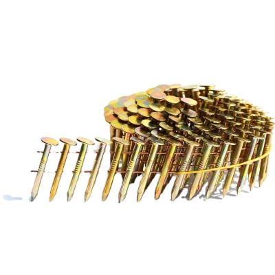 China Hot Selling Galvanized Smooth Shank Diamond Point Coil Roofing Nail With Big Head for sale