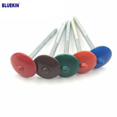 China Cap Corrugated Umbrella Head 1-3 Inch Galvanized Roofing Nail for sale