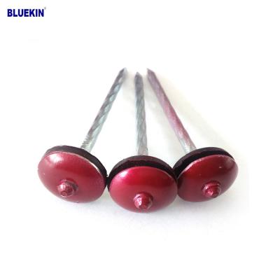 China 2.5inch cap bwg9 corrugated galvanized head umbrella roofing nail for sale