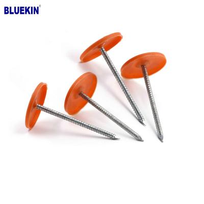 China Hot Selling Industrial Cap Construction Plastic Roofing Nails for sale