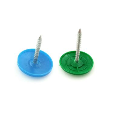 China Plastic Large Cap Head Ringed Leg Electro Galvanized One Inch Plastic Roofing Nails Cap Nail for sale