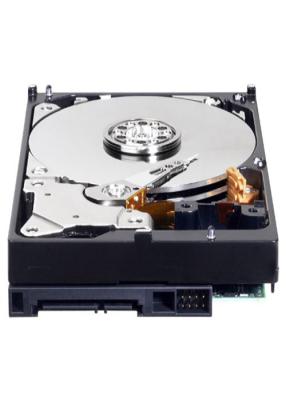 China Universal 3TB Computer Internal Hard Drive , Laptop Hard Drive 7200RPM WD3000FYYZ for sale