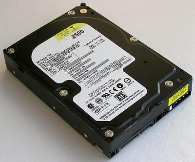 China Universal 7200rpm IDE Hard Disk Drive / ide notebook hard drive WD2500 for sale