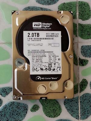 China Enterprises Computer Internal 3.5 inch Hard Drive 2TB For Desktop WD2002FAEX for sale