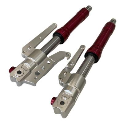 China Aluminum Alloy High Performance Front Fork Assy Damper Motorcycle Front Shock Absorbers For MILLIONS DE for sale