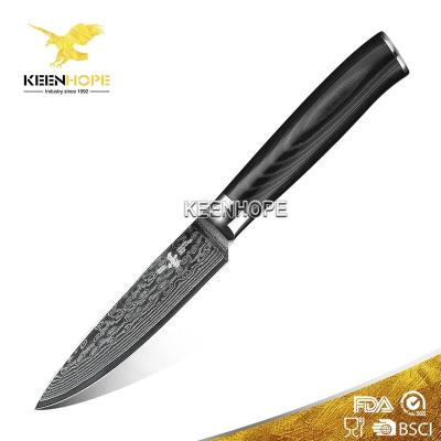 China Viable Damascus Knife 3.5 Inch Paring Knife 67 Layers Damascus Steel With VG10 Core G10 Handle Gift Box Package HEROISM for sale