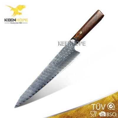 China Viable Stunning 67 Layers Of Damascus Steel Chef Knife With VG10 Core 8 Inch Gyuto Japanese Chef Knife for sale