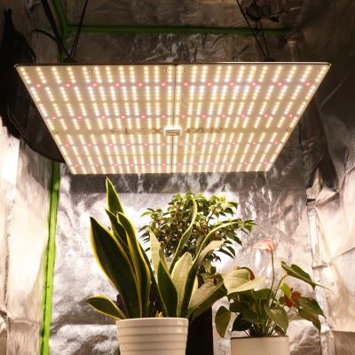 China Seed Starting SINOWELL FLEXSTAR High Yields 480W 240W 12W LED Grow Lights For Hobby Growers Grow Shop for sale