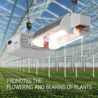 China 1000W DE Fixture Grow Greenhouse Lights Hydroponics Plant Growth 1000 Watt for sale