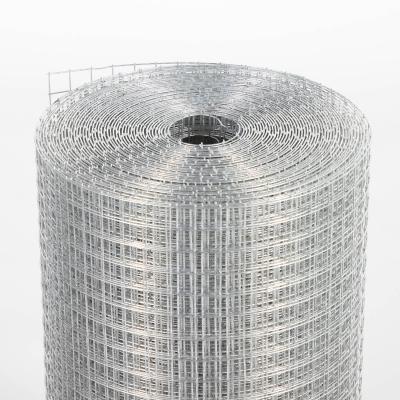 China Fence 1/4in Hole High Quality Hot Dipped Galvanized Welded Wire Mesh for sale