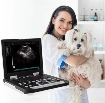 China Animal Ultrasound Equipment Full Metal Veterinarian Use MTRSN50 Digital Digital Ultrasonic Diagnostic Instrument for sale