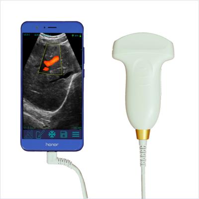 China Metal Compatible with Elements Type 128A Medical Handheld Portable Convex C Color Doppler Ultrasound Probe Transducer for sale