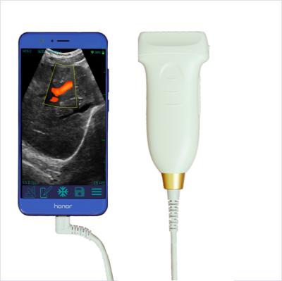 China Metal Compatible With 128 Unit Type Medical Handheld Portable Linear C Color Doppler Ultrasound Probe Transducer for sale