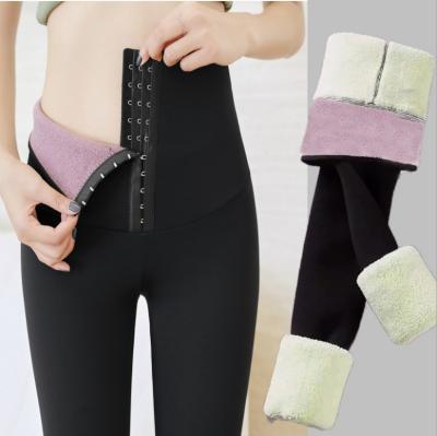 China Barbie antibacterial plush and thick-breasted pants, high-waisted, belly tucked gaiters for women to wear oversized thermal pants for sale