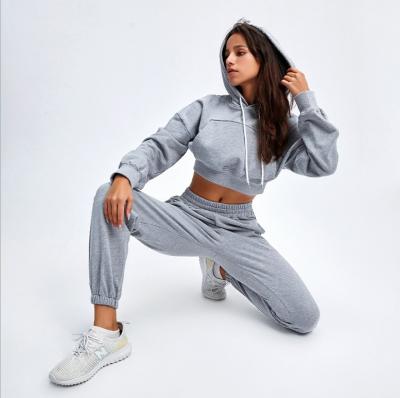 China Other 2 Piece Sport Yoga Hoodies Set Women Cotton Sweatpants Fall Winter Clothes Women Team Tracksuits Casual Sweatsuits for sale