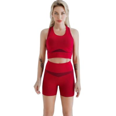 China Other Sports Gym Custom 2021 High Quality Workout Suit Women Yoga Wear 2 Piece Sports Bra And Shorts Yoga Sets for sale