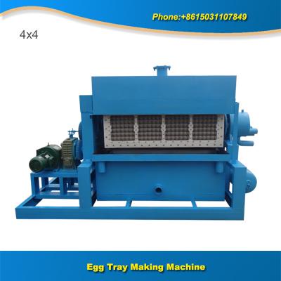 China Big capacity paper pulp production egg tray Processing machine for sale