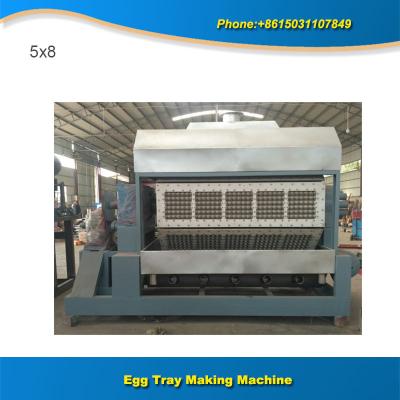 China Paper production machinery 5x8 5000pcs full automatic egg tray machine price for sale