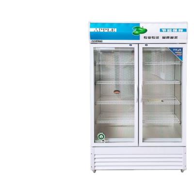 China Single-temperature Factory Price Vertical Freezer Refrigerator Beverage Display Freezer for sale