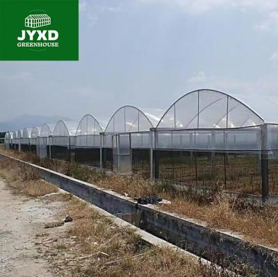 China Greenhouse New type glass greenhouse with high-tech commercial aquaponics growing set system for sale