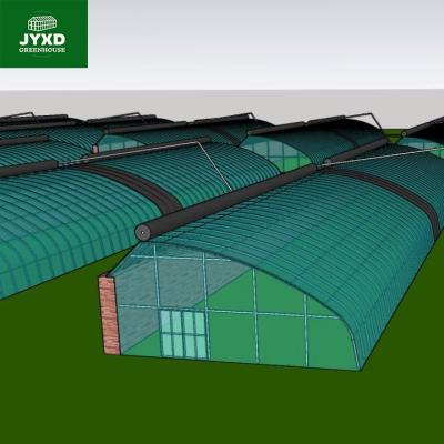 China Stable Structure Easily Assembled Modern agricultural high-yield greenhouse for sale