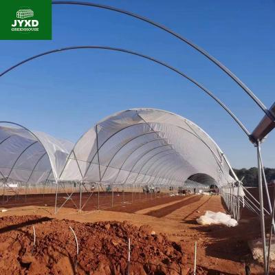 China Glass Design free modern large greenhouse indoor glass agricultural greenhouse for sale