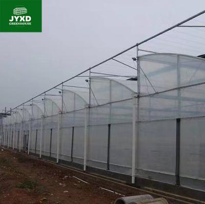 China Glass Hot Sale  Plastic Film Greenhouse for Plant for sale