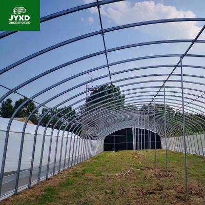 China Vegetable High Quality Single-Span Agriculture Greenhouse for sale