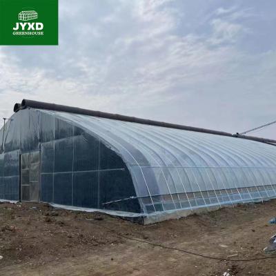 China Agriculture Hydroponic Planting Agriculture Steel Farming Greenhouse Frame Structure for sale