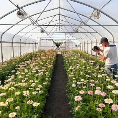 China Stable Structure Easily Assembled Large flower growing greenhouse for sale