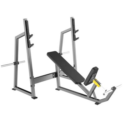 China Hot Selling Type Gym And Club Ware Free System 2021 New Slope Bench Shed Weights for sale