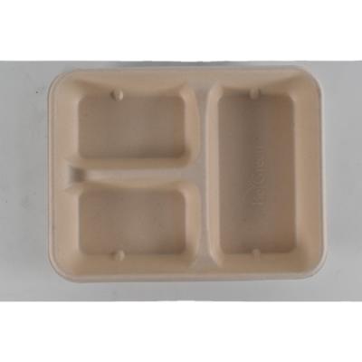 China Sugar Cane Bagasse Pulp Box Waterproof Food Container Bento Meal Food Lunch Boxes Takeout for sale