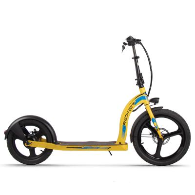 China Rich Bit Cheap Price Retail Citycoco Electric Scooter Eu Unisex Warehouse Pro Kick Scooters for sale