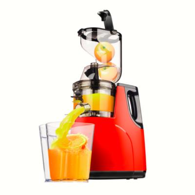 China Double Diameter Household Portable Electric Slow Speed ​​Fruit Squeezer Orange Juicer for sale