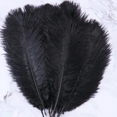 China Good quality 25-30cm soft small ostrich feathers dyed color table centerpieces for wedding decoration for sale