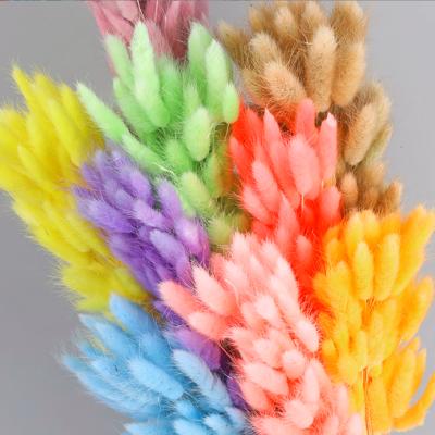 China Wedding Flower Arrangements Wholesale Price Bunny Tail Grass Dyed Color Lagurus Ovatus For Wedding Decoration for sale