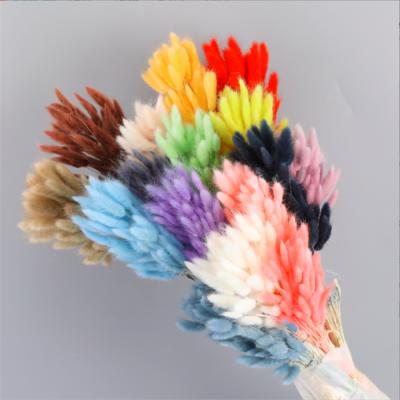 China Wedding Flower Arrangements Ins Style Wedding Decoration Flowers Bunny Tail Immortal Dry Grass For Wholesale for sale