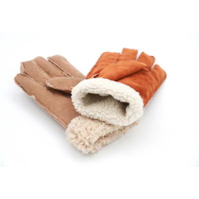 China Lambswool Inside Ms. Professional Manufacturer Winter Warm Movement Gloves for sale