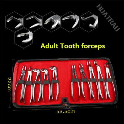 China 10pcs/set Medical Adult Tooth Extracting Forceps Pliers With Toolkit Dental Surgical Extraction Instruments For Dental Clinic Small for sale