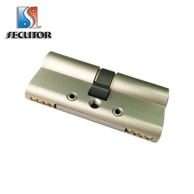 China With Breaker Strip Reinforce Bar 80 mm SS Breaker Strip Bar Profile Brass Cylinder Euro for sale