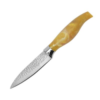 China Durable 3.5 Inch Fruit Paring Knife Kitchen Stainless Steel Blade With Comfortable Handle for sale