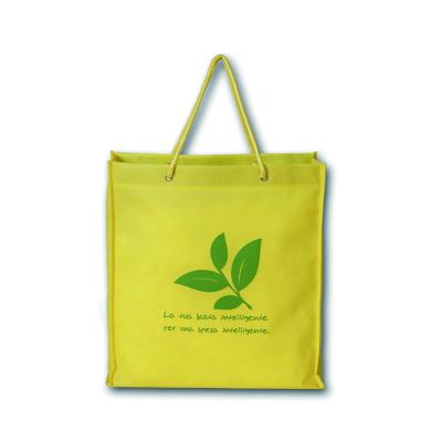 China Eco - Friendly PP Non Woven Polypropylene Shopping Bag for sale