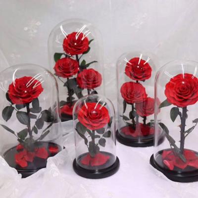 China / China manufacturer direct wholesale preserved rose in dome borosilicate glass flower candle dome and base for sale