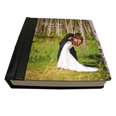 China Custom Family Travel 12 x 8 Photo Album , Waterproof Flushmount Albums for sale