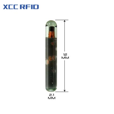 China Various Sizes and Models 134.2khz FDX-B RFID Animal Microchip Microchip 134.2khz FDX-B RFID Glass Chip Implant Pet Animal Identification for sale